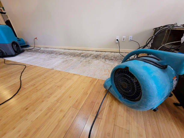 Professional Water Damage Repair technician working in Hookstown, PA